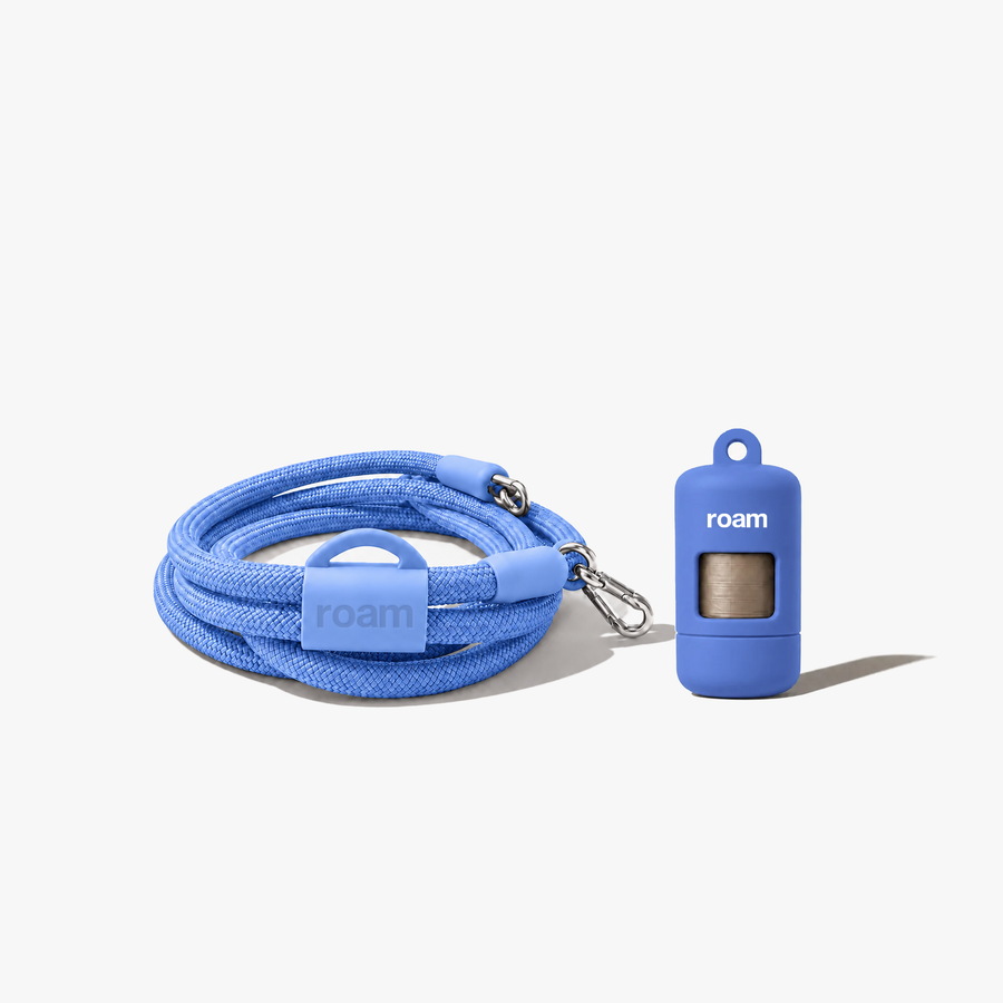 the handsfree set - bondi blue