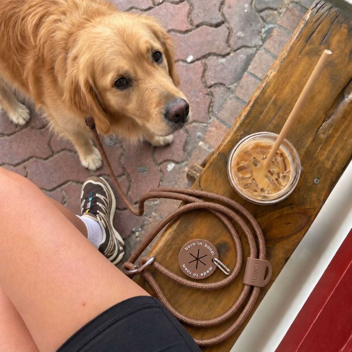 hands-free leash - cocoa