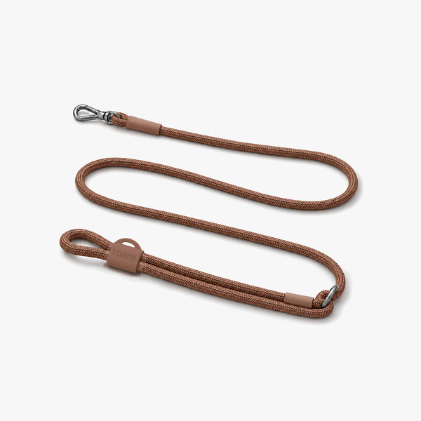 hands-free leash - cocoa